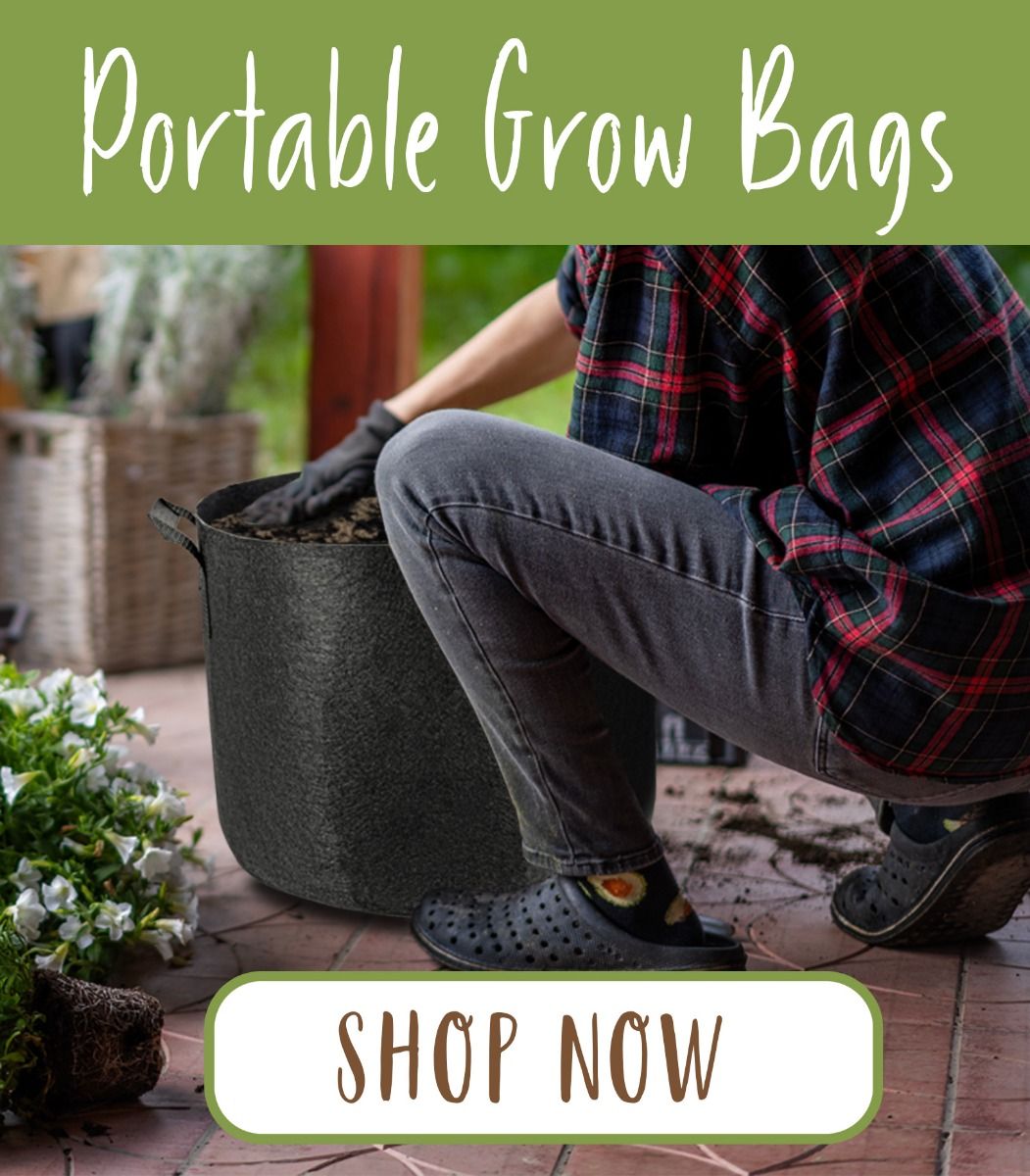 Grow Bags